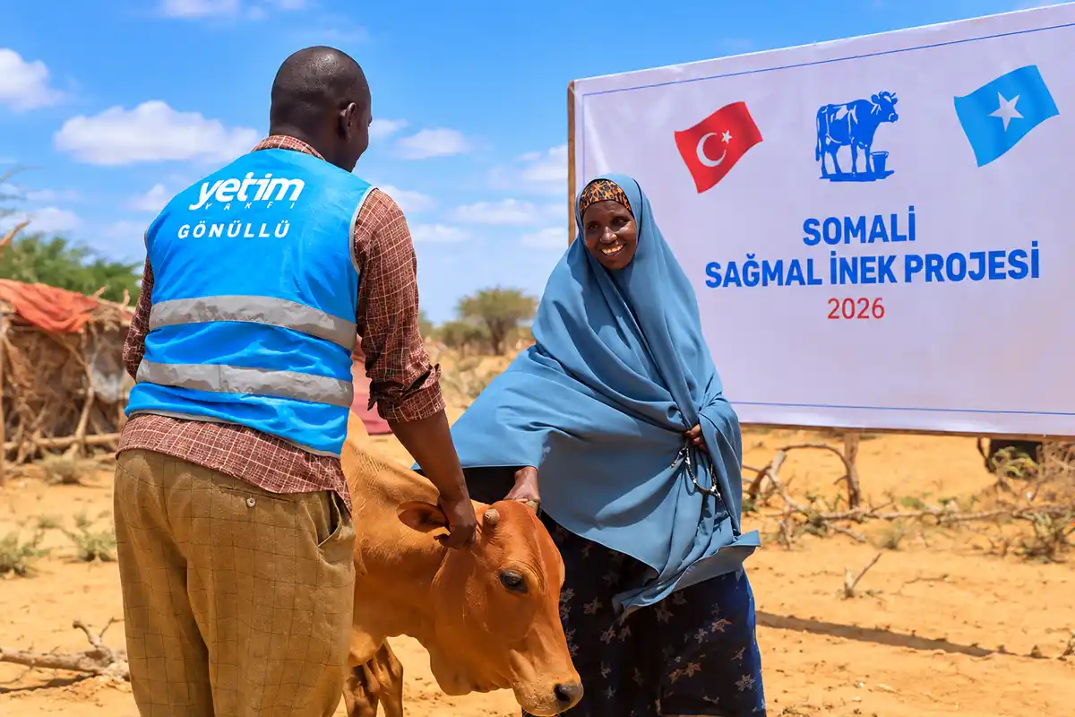 Yetim Vakfı Somali’de ailelere sağmal inek teslim etti
